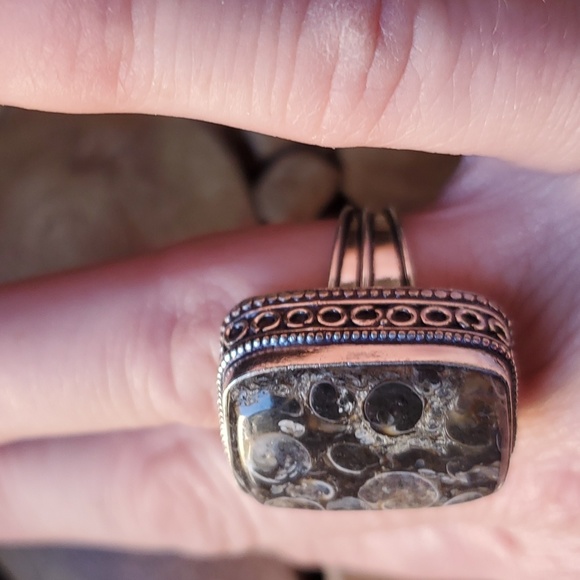 New Turritella Agate Fossil 925 Silver Ring. - Picture 10 of 16